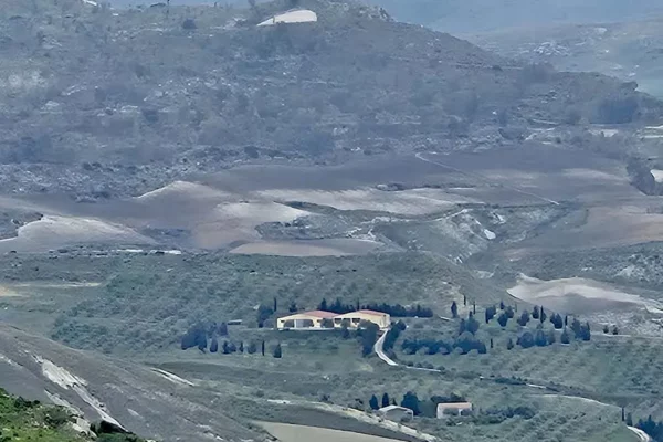 La Mandorla Bio S.S.