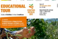 Educational Tour: Visita Oleificio e fasi della Molitura