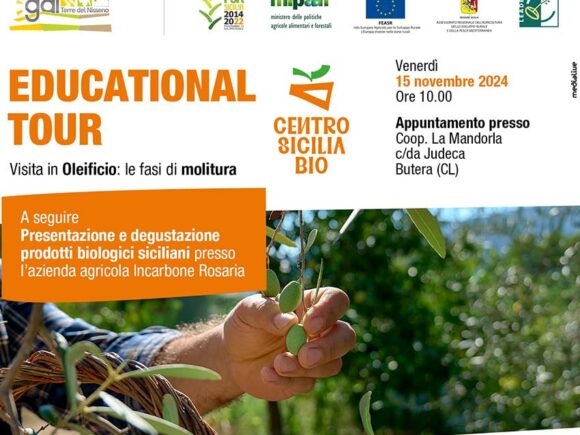 Educational Tour: Visita Oleificio e fasi della Molitura
