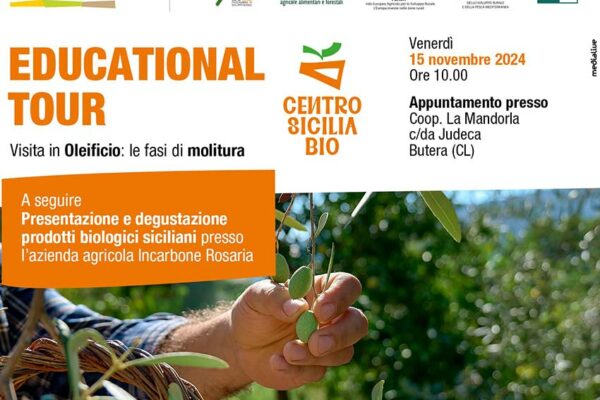 Educational Tour: Visita Oleificio e fasi della Molitura