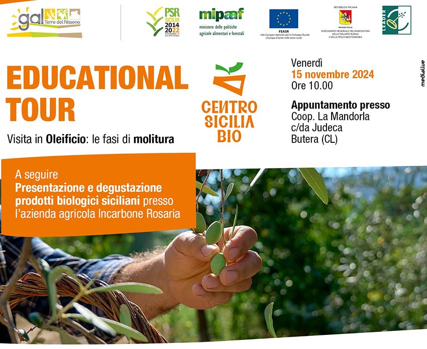 Educational Tour: Visita Oleificio e fasi della Molitura