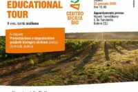 Educational Tour: Alla Scoperta del Vino Siciliano