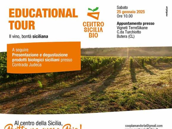 Educational Tour: Alla Scoperta del Vino Siciliano
