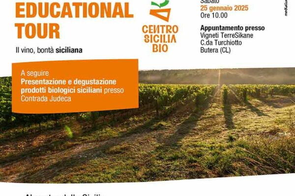 Educational Tour: Alla Scoperta del Vino Siciliano