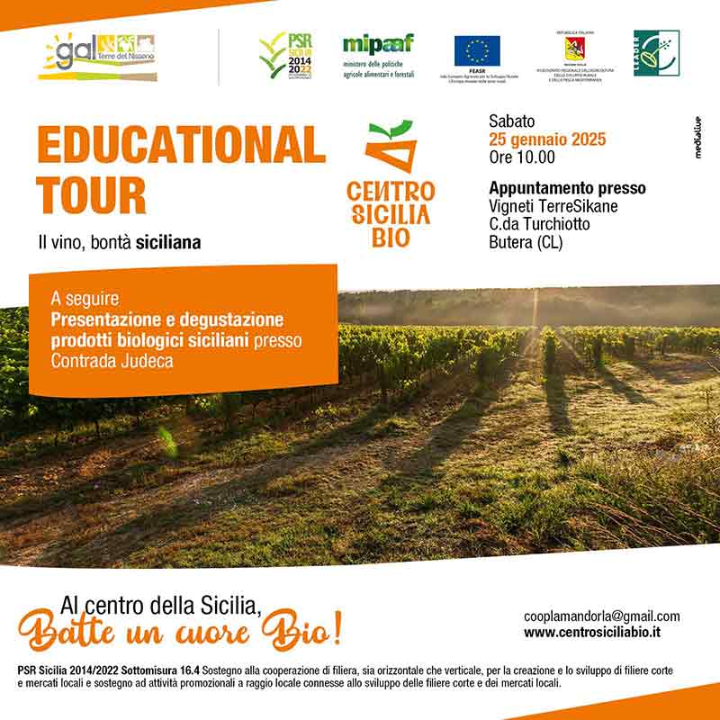 Educational Tour: Alla Scoperta del Vino Siciliano