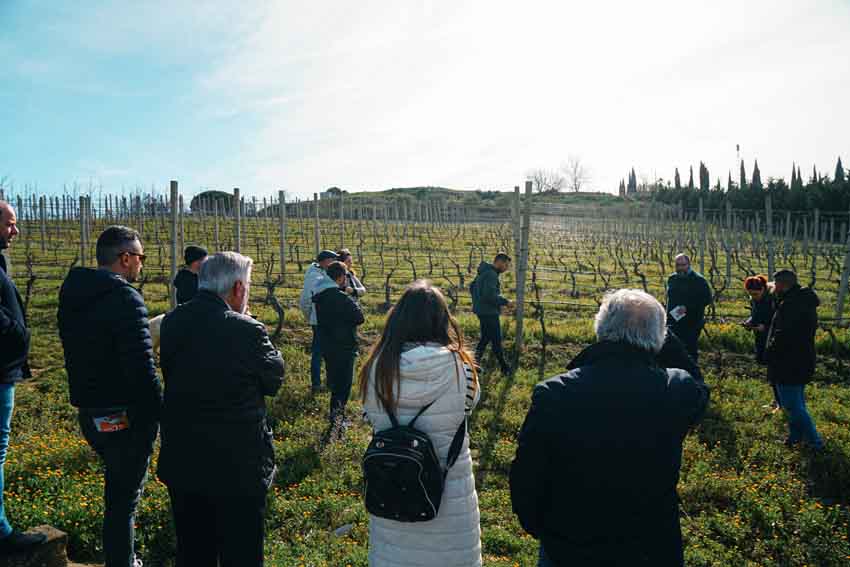 Educational Tour: Alla Scoperta del Vino Siciliano