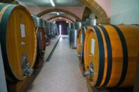 Educational Tour: Alla Scoperta del Vino Siciliano