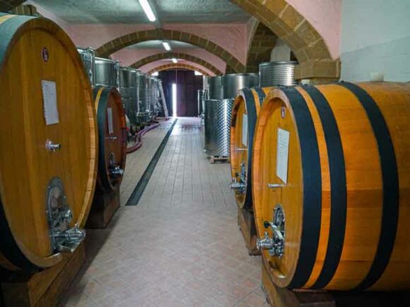 Educational Tour: Alla Scoperta del Vino Siciliano