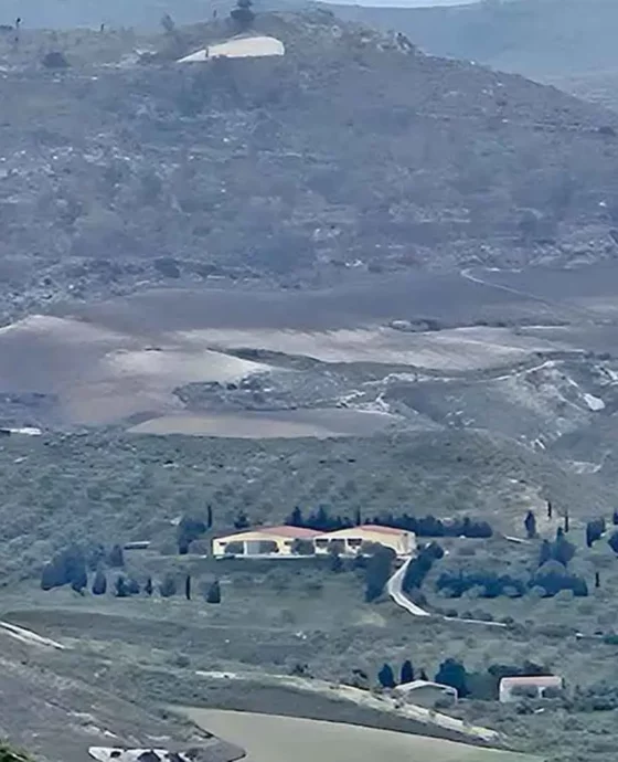 La Mandorla Bio S.S.