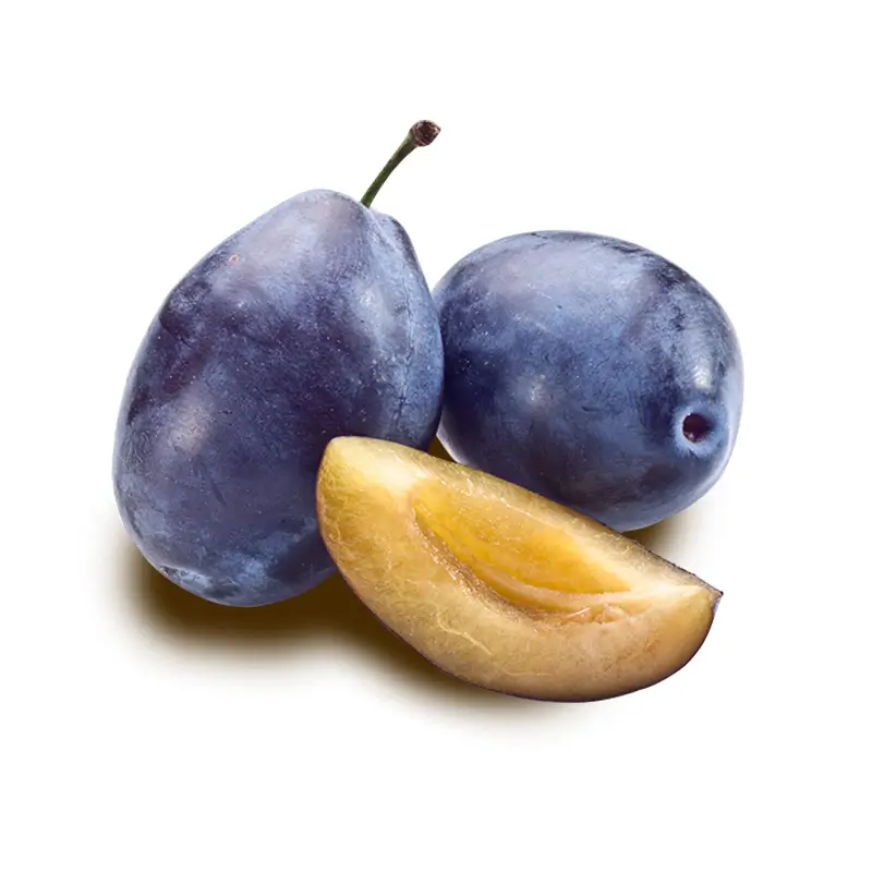 susine
